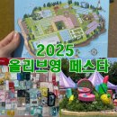[2025 올리브영 페스타] 똥손의 광기로 가득 찬 마지막 날 오전 후기(05.25)