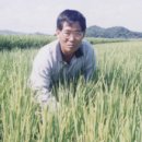 대마2리 이미지