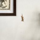 마당스낵 | 발리 스미냑 에어비앤비후기ㅣ한국에서 불가능한 구조..가족숙소 추천!