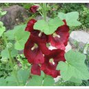 청곡사주차장 이미지