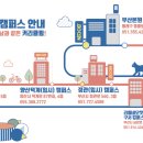 이다캣 이미지