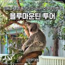 왈라루하우스 | 시드니 여행 필수코스! 시드니 블루마운틴 투어 호주무한투어 솔직후기