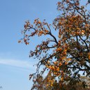 웰힐링협동조합 이미지