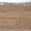 로타리슈퍼 이미지