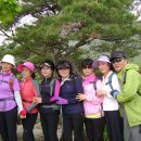 술나라 Daum카페