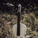 과르네리 이미지