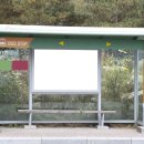 주정차5 이미지