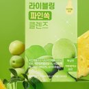 비파사