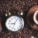 커피지애 이미지