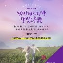 백년사진관 이미지