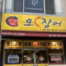 도농역 다산신도시 맛집 오장어 후기