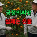 지혜농장 | 긍정의씨앗 DAY 4 실패는 선물 – 내가 배운 지혜