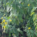 백봉농장 이미지