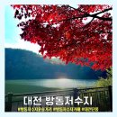 2024년 방동 윤슬거리 음악분수 | [대전 방동저수지] 방동저수지 윤슬거리 방동저수지 카페 루미에르 음악분수 대전 단풍 대전 드라이브코스