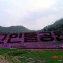 화순도암중 이미지