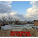 선원면-5 이미지