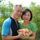 꼬꼬맘 이미지