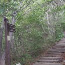 [낙동정맥14]배내고개-배내봉-간월산-신불산-영축산-양산지경고개 이미지