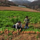 돈수농장 이미지