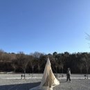 뉴얼리야영장