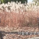 미소광고 이미지