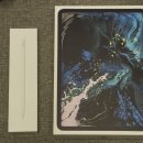 반듯하개 이미지