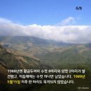 황금두꺼비 이미지