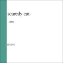 CAT 이미지