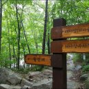 선유동2로 이미지