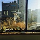 티움(Tea-um) 이미지