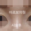 아르보의원 이미지