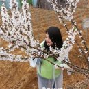 협성농장 Daum카페
