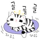 편하개 놀다가냥 이미지