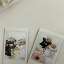 웨딩촬영 폴라로이드 추천 l 후지필름 미니에보 내돈내산 후기