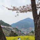 왕지마을회관 이미지