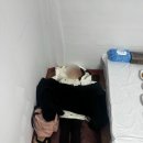 잔다리매운탕 | 잔다리매운탕 | 영종도 매운탕 맛집 재방문 후기