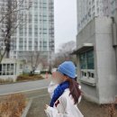 솔리드디자인 | [생활꿀템 : 목도리] 겨울 내내 손이 가는 카르페디엠 솔리드 캐시미어머플러 블루 사용후기