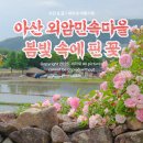 인동초의 집 | 아산 외암민속마을 꽃마을 식물원으로 변한 모습