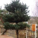 진관농장 이미지