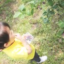 무영농장 이미지