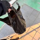 청호시장 | 목포 현지인 추천받은 청호시장 회포장 내돈내산 솔직후기