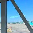 732 | 타이베이 항공권 진에어 이용후기 할인 꿀팁까지 | LJ731, LJ732