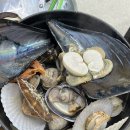제부수산2호 | [제부도 조개찜]제부수산,회,현지인 맛집