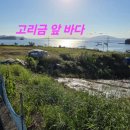 남촌공인중개사사무소 이미지