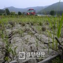 종천면사무소 이미지