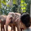 (주)뉴월드렌트카 이미지