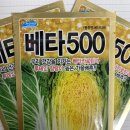 황금농약사 이미지