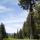 Salmon Arm Golf Club 이미지