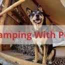 동강글램핑 이미지