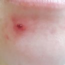 주식회사 스카에나 이미지